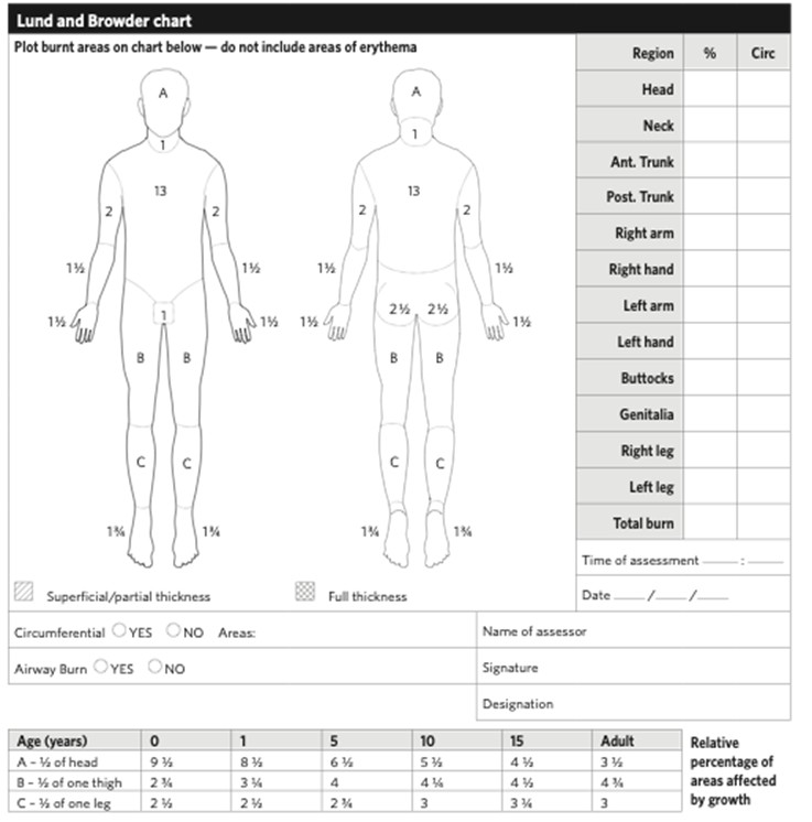 CPG burns acute lund browder chart CPG burns acute lund browder chart